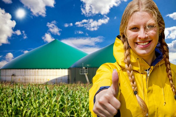 Biogas, Heizungsmodernisierung, Erneuerbare-Wärme-Gesetz, EWärmeG, Heizungssanierung, Heizungswechsel, Heizungstausch, Heizungserneuerung, 