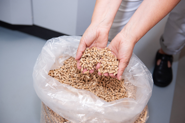 Heizung modernisieren, Heizung ersetzen, Heizung sanieren, Heizung wechseln, Heizung tauschen, Heizung austauschen, Pellet, Pellets, Pelletheizung, mit Pellets heizen, mit Pellet heizen,